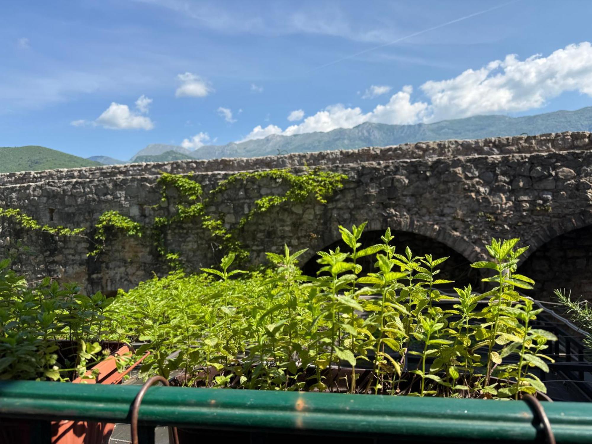 Apartments Aleksić Old Town Budva Zewnętrze zdjęcie